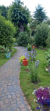 Foto - Grundst&uuml;ck in Hessisch Oldendorf