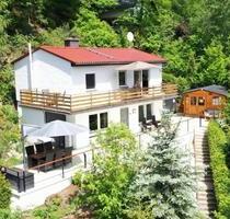 Ferienhaus am Diemelsee Sauerland Hund Willingen Winterberg