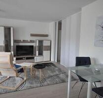 Großzügige möblierte 1 Zimmer-Wohnung in Rheinfelden-Karsau - Rheinfelden (Baden)