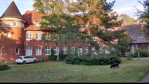 Foto - 2-Zimmer Appartement in historischem Gebäude