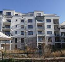 Neuwertige 2,5 Zimmer-Attikawohnung - Rheinfelden (Baden)