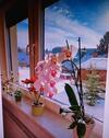 Foto - Erdgeschoßwohnung in Suhl zur Miete