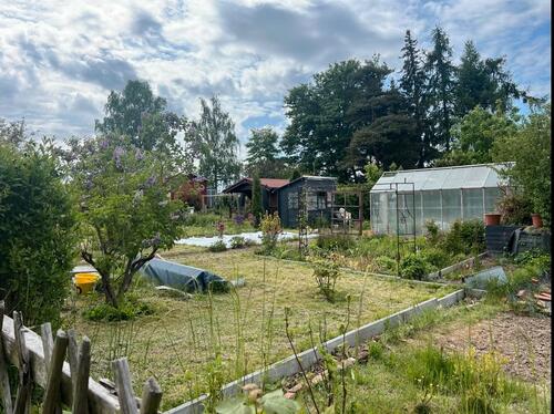 Foto - Garten in Wilsdruff ab sofort abzugeben ❤️❤️❤️