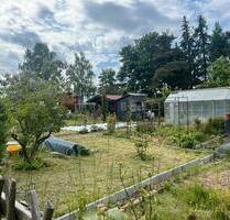 Garten in Wilsdruff ab sofort abzugeben ❤️❤️❤️