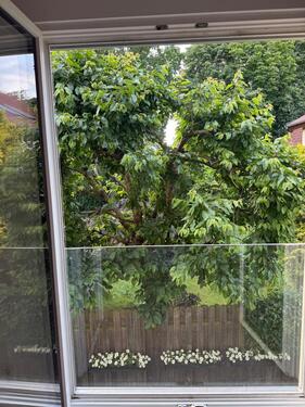 Foto - Etagenwohnung zur Miete in Berlin