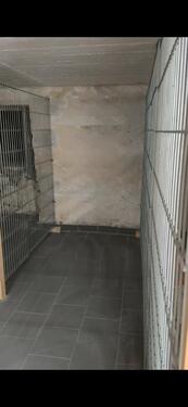 Foto - andere zur Miete in Düsseldorf