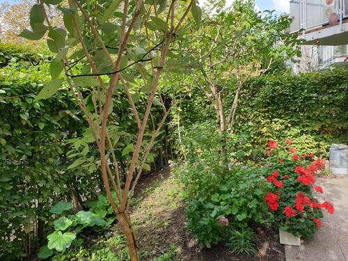 Foto - Etagenwohnung in Ulm zum Kaufen