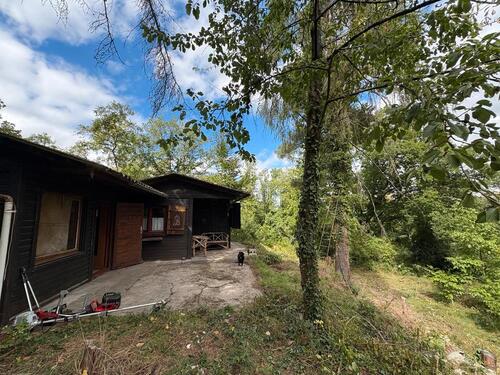 Foto - Grundstück zur Miete in Bad Dürkheim