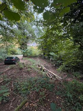 Foto - Grundstück in Bad Dürkheim zur Miete