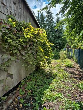 Foto - Grundst&uuml;ck in Stendal
