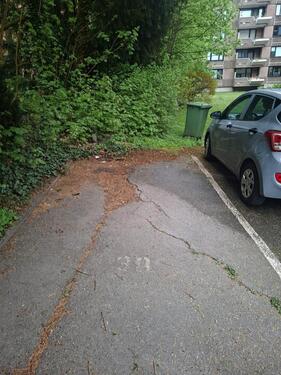 Foto - PKW Aussenstellplatz - 45,00&nbsp;EUR Miete,