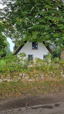 Foto - Traumhaftes Strohdachhaus bei Neuenkirchen mit Felderblick