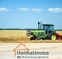 Landwirtschaftliches Grundstück bei Schabringen - Wittislingen
