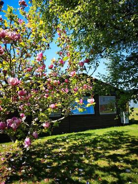 Foto - Einfamilienhaus in Morbach
