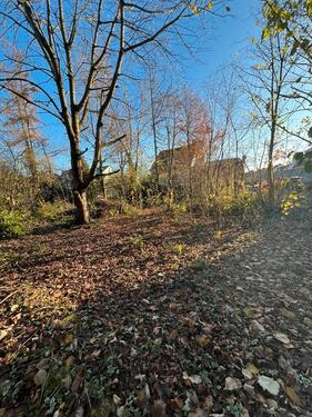 Foto - 2 Familienhaus auf XLL Grundstück, mit Einliegerwohnung,