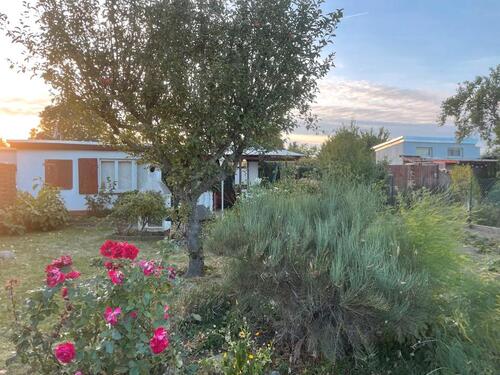 Foto - Gepflegter Pachtgarten mit Pool