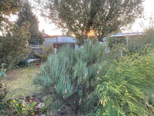 Foto - Grundst&uuml;ck in Magdeburg