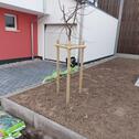 Foto - andere in Stutensee