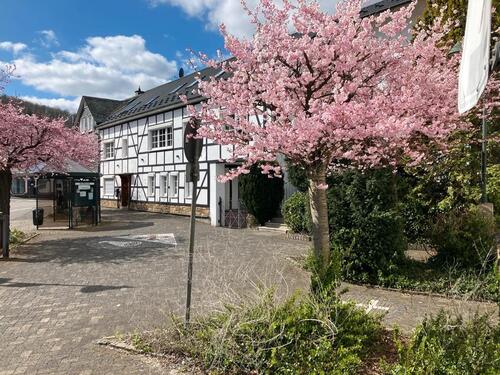 Foto - Wohnung in zentraler Lage - 640,00 EUR Kaltmiete,