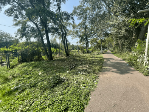 Foto - Grundstück für Hundeplatz in Bonn-Tannenbusch