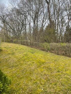 Foto - Terrassenwohnung in Erfurt zur Miete