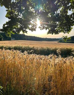 Foto - andere zur Miete in Köln