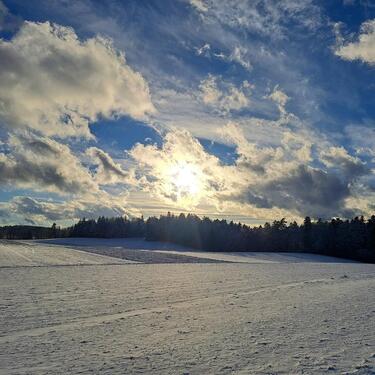 Foto - andere in Meßstetten zur Miete