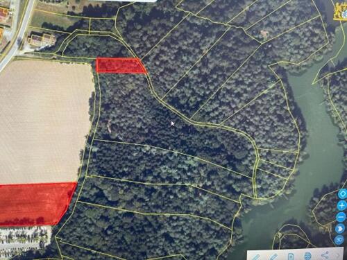 Foto - Wald Freizeitgrundstück am Eginger See als Wert Kapitalanlage