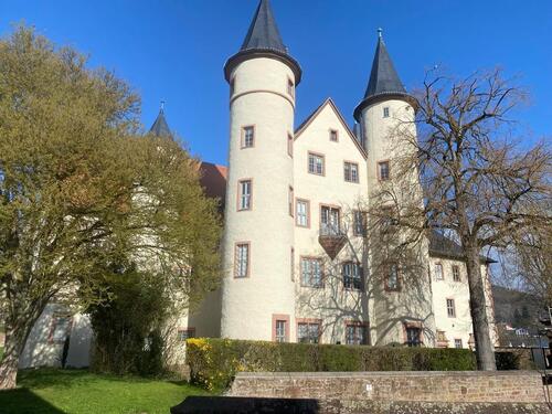 Foto - Großzügiges 1-Zimmer Apartment Pendler-Wohnung in Lohr-Sendelbach