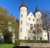 Großzügiges 1-Zimmer Apartment Pendler-Wohnung in Lohr-Sendelbach - Lohr am Main