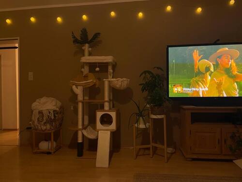 Foto - 3 Zimmer Etagenwohnung zur Miete in Bad Schwalbach