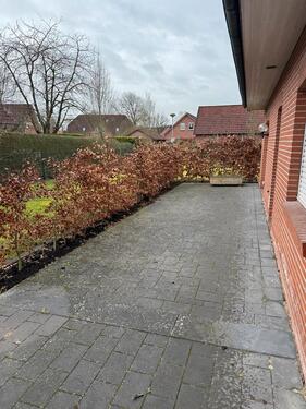 Foto - Erdgeschoßwohnung in Barßel zur Miete
