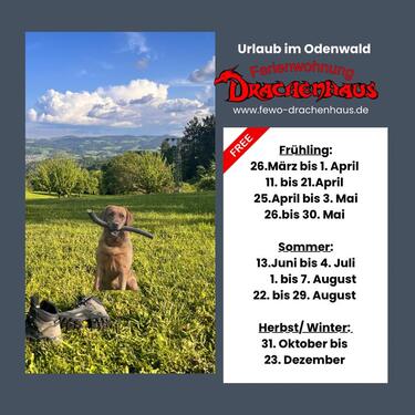 Foto - Urlaub mit HundFerienwohnung mit Sauna