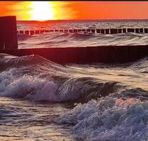 ❤️❤️ Urlaub auf Usedom,in Zempin an der Ostsee❤️ - Koserow