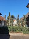 Foto - Mehrfamilienhaus, Wohnhaus in Bad Driburg zum Kaufen