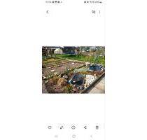 wunderschöner Garten - 500,00 EUR Kaltmiete, ca.  0,00 m² in Bautzen (PLZ: 02625)