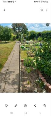 Foto - Grundstück zur Miete in Bautzen