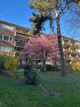 Foto - Gemütliche 3 Zimmer Wohnung in Erftstadt Liblar