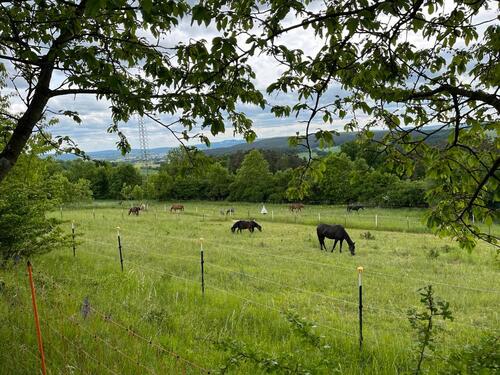 Foto - 4 Zimmer Einfamilienhaus in Bindlach