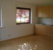 1-Zi. Single Wohnung , ideal für Wochenendheimfahrer - Neu-Anspach