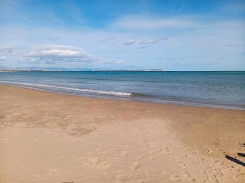 Foto - andere in Artern