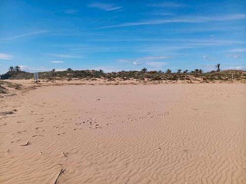 Foto - andere in Artern zur Miete