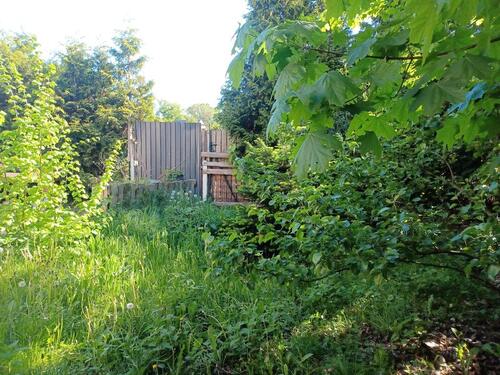 Foto - Etagenwohnung in Herzberg (Elster)