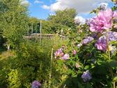 Foto - Grundstück in Bad Segeberg
