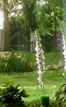 Foto - Helle 2- Zimmerwohnung & Abstellraum in Neustadt OT Hagen