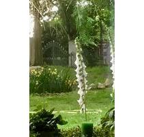 Helle 2- Zimmerwohnung & Abstellraum in Neustadt OT Hagen - Neustadt am Rübenberge