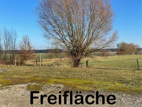 Foto - andere in Wolmirstedt