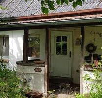 4Zi Wohnung 130qm mit gr Garten - Hitzacker (Elbe)