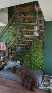 Foto - Einfamilienhaus in Kamen zum Kaufen