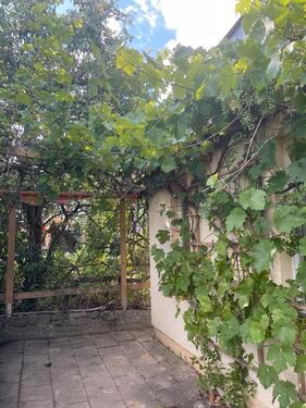 Foto - Grundst&uuml;ck in Pölzig zur Miete